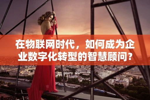 在物联网时代，如何成为企业数字化转型的智慧顾问？