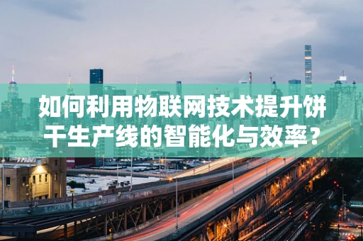 如何利用物联网技术提升饼干生产线的智能化与效率？