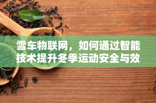 雪车物联网，如何通过智能技术提升冬季运动安全与效率？
