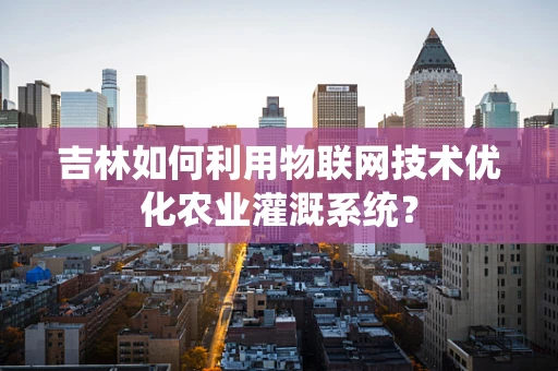 吉林如何利用物联网技术优化农业灌溉系统？