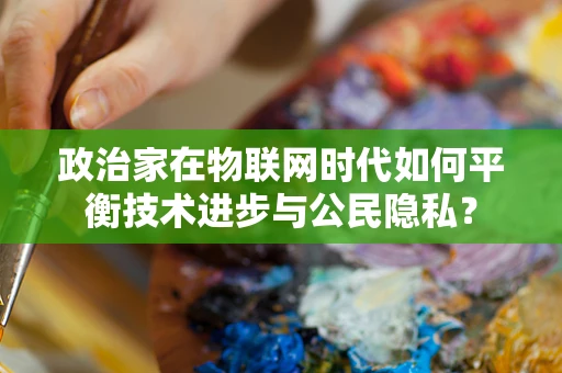 政治家在物联网时代如何平衡技术进步与公民隐私？