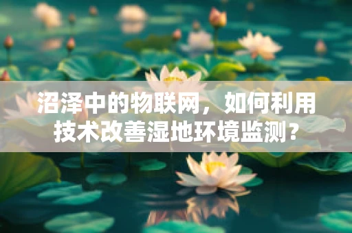 沼泽中的物联网，如何利用技术改善湿地环境监测？