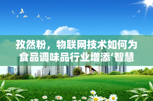 孜然粉，物联网技术如何为食品调味品行业增添‘智慧’？