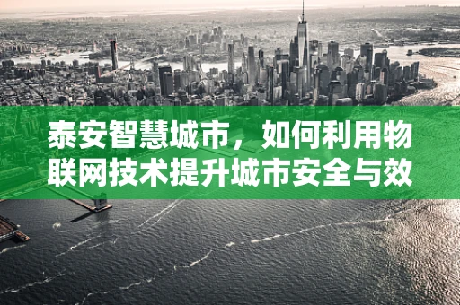 泰安智慧城市，如何利用物联网技术提升城市安全与效率？