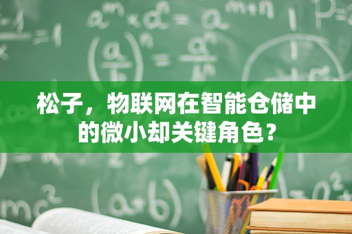 松子，物联网在智能仓储中的微小却关键角色？