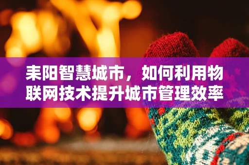 耒阳智慧城市，如何利用物联网技术提升城市管理效率？
