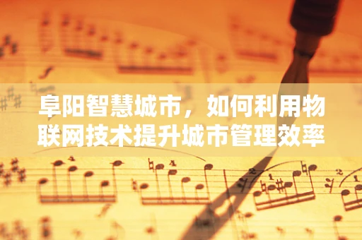 阜阳智慧城市，如何利用物联网技术提升城市管理效率？