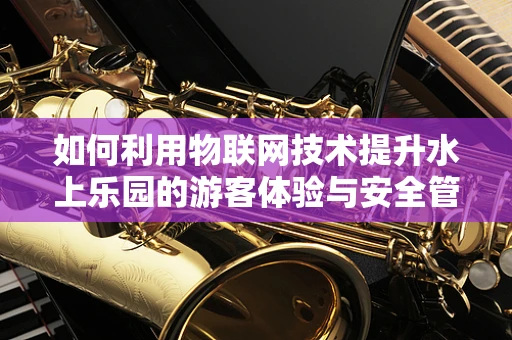 如何利用物联网技术提升水上乐园的游客体验与安全管理？