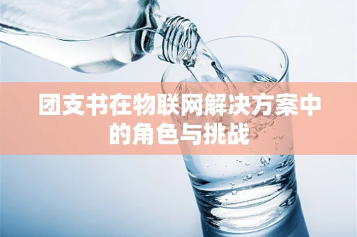 团支书在物联网解决方案中的角色与挑战
