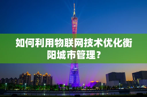 如何利用物联网技术优化衡阳城市管理？