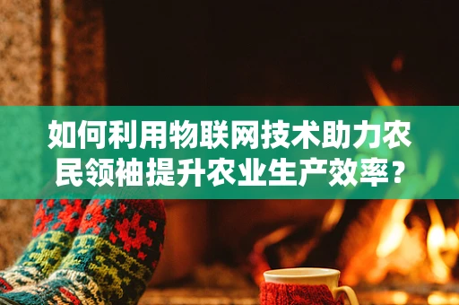 如何利用物联网技术助力农民领袖提升农业生产效率？