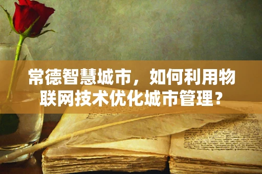 常德智慧城市，如何利用物联网技术优化城市管理？