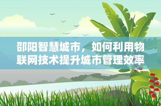 邵阳智慧城市，如何利用物联网技术提升城市管理效率？