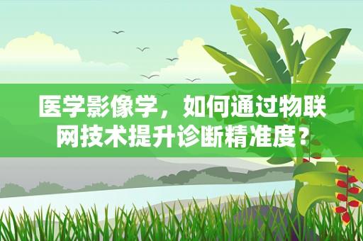 医学影像学，如何通过物联网技术提升诊断精准度？