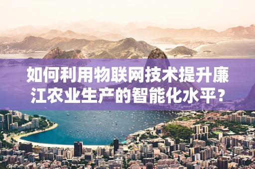 如何利用物联网技术提升廉江农业生产的智能化水平？