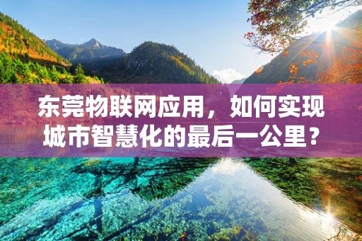 东莞物联网应用，如何实现城市智慧化的最后一公里？