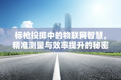 标枪投掷中的物联网智慧，精准测量与效率提升的秘密