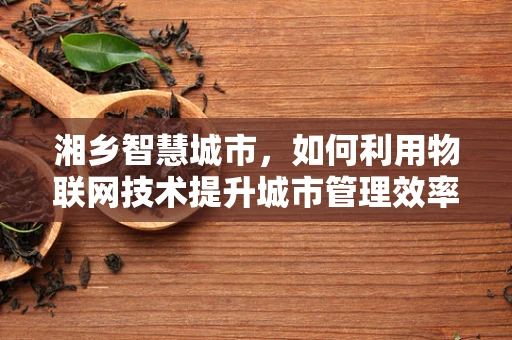 湘乡智慧城市，如何利用物联网技术提升城市管理效率？