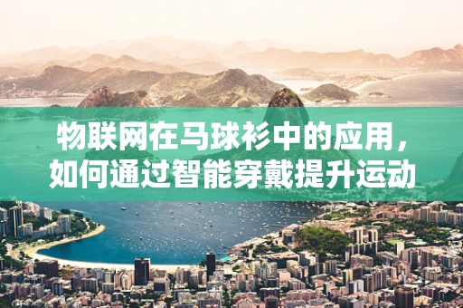 物联网在马球衫中的应用，如何通过智能穿戴提升运动体验？