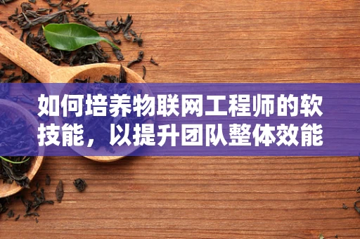 如何培养物联网工程师的软技能，以提升团队整体效能？