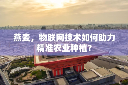 燕麦，物联网技术如何助力精准农业种植？