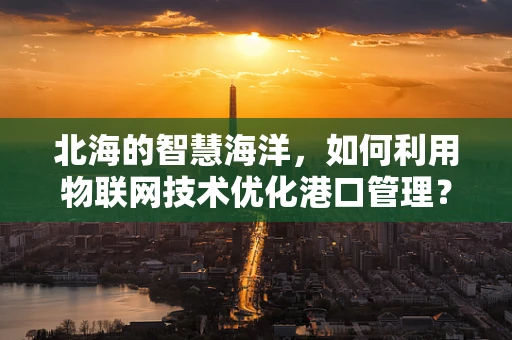 北海的智慧海洋，如何利用物联网技术优化港口管理？
