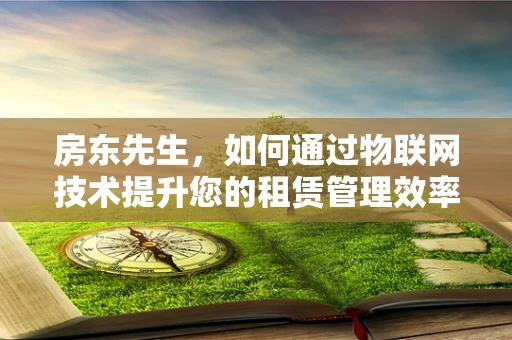 房东先生，如何通过物联网技术提升您的租赁管理效率？