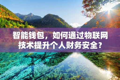 智能钱包，如何通过物联网技术提升个人财务安全？