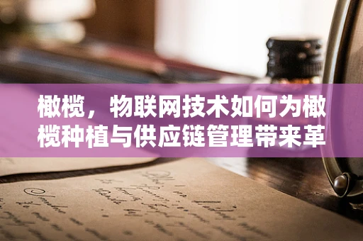 橄榄，物联网技术如何为橄榄种植与供应链管理带来革新？