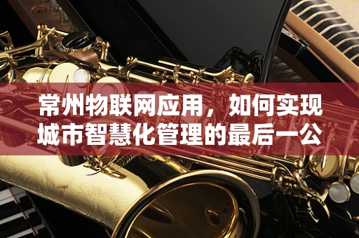 常州物联网应用，如何实现城市智慧化管理的最后一公里？
