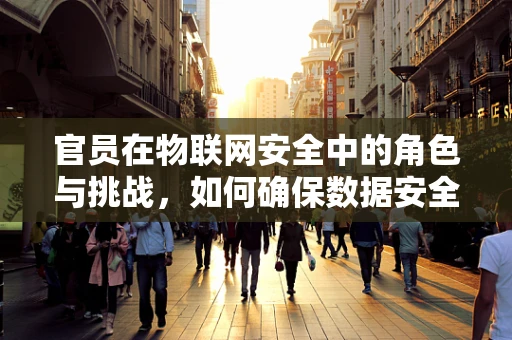 官员在物联网安全中的角色与挑战，如何确保数据安全与隐私？