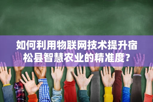 如何利用物联网技术提升宿松县智慧农业的精准度？