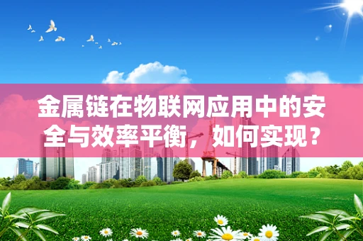 金属链在物联网应用中的安全与效率平衡，如何实现？