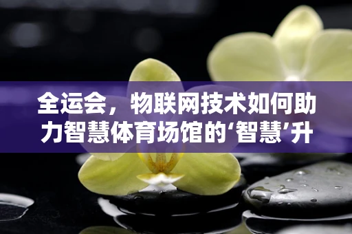 全运会，物联网技术如何助力智慧体育场馆的‘智慧’升级？