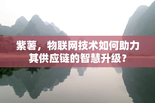 紫薯，物联网技术如何助力其供应链的智慧升级？