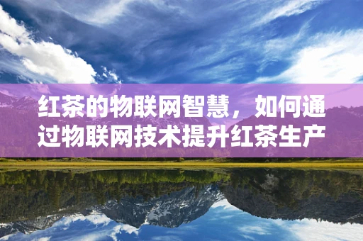 红茶的物联网智慧，如何通过物联网技术提升红茶生产与管理的效率？