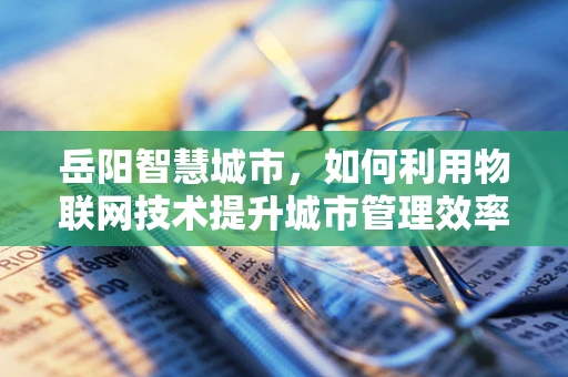 岳阳智慧城市，如何利用物联网技术提升城市管理效率？