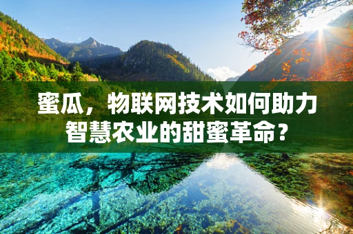 蜜瓜，物联网技术如何助力智慧农业的甜蜜革命？