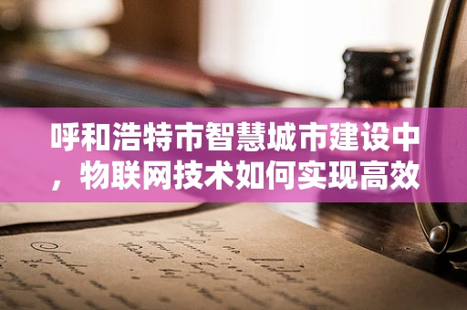 呼和浩特市智慧城市建设中，物联网技术如何实现高效数据整合与利用？