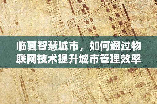临夏智慧城市，如何通过物联网技术提升城市管理效率？