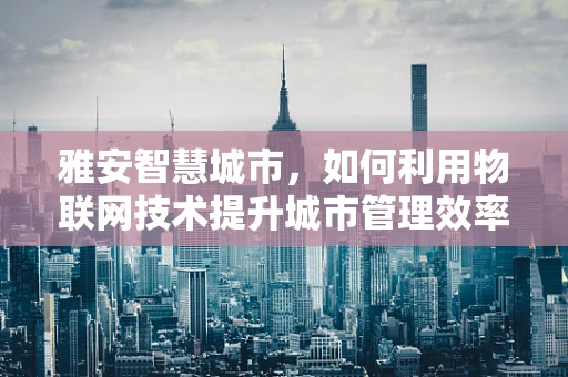 雅安智慧城市，如何利用物联网技术提升城市管理效率？