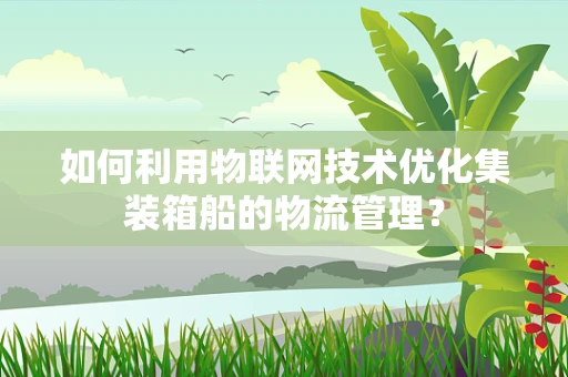 如何利用物联网技术优化集装箱船的物流管理？