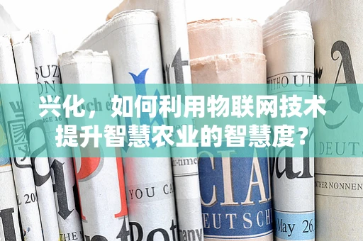 兴化，如何利用物联网技术提升智慧农业的智慧度？