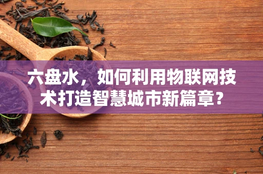 六盘水，如何利用物联网技术打造智慧城市新篇章？