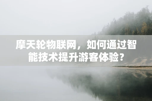 摩天轮物联网，如何通过智能技术提升游客体验？