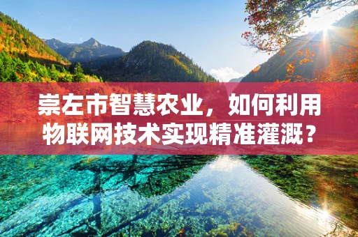 崇左市智慧农业，如何利用物联网技术实现精准灌溉？