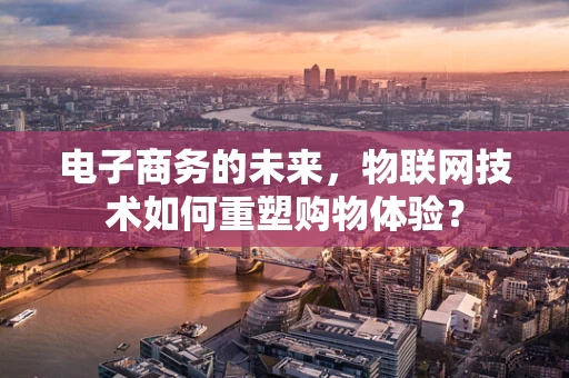 电子商务的未来，物联网技术如何重塑购物体验？