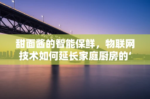 甜面酱的智能保鲜，物联网技术如何延长家庭厨房的‘甜蜜’时光？