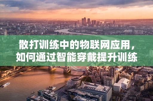 散打训练中的物联网应用，如何通过智能穿戴提升训练效率？