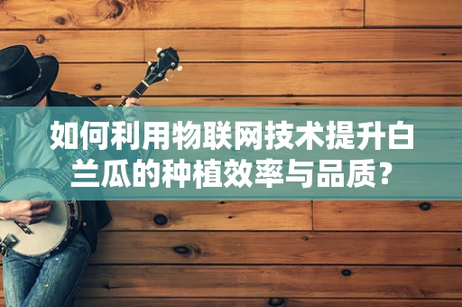 如何利用物联网技术提升白兰瓜的种植效率与品质？